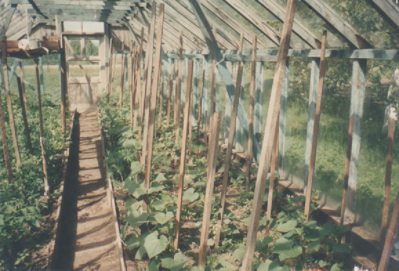 Ylakių Globos Namai