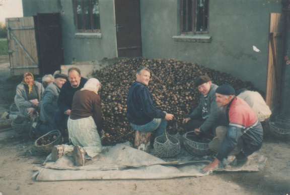 Ylakių Globos Namai