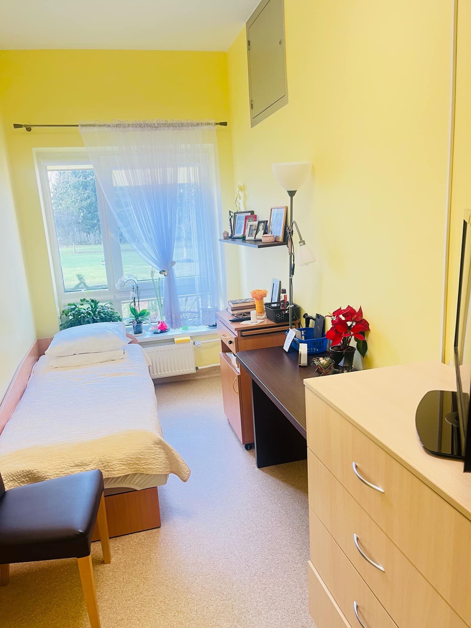 Wintry Mountain Landscape